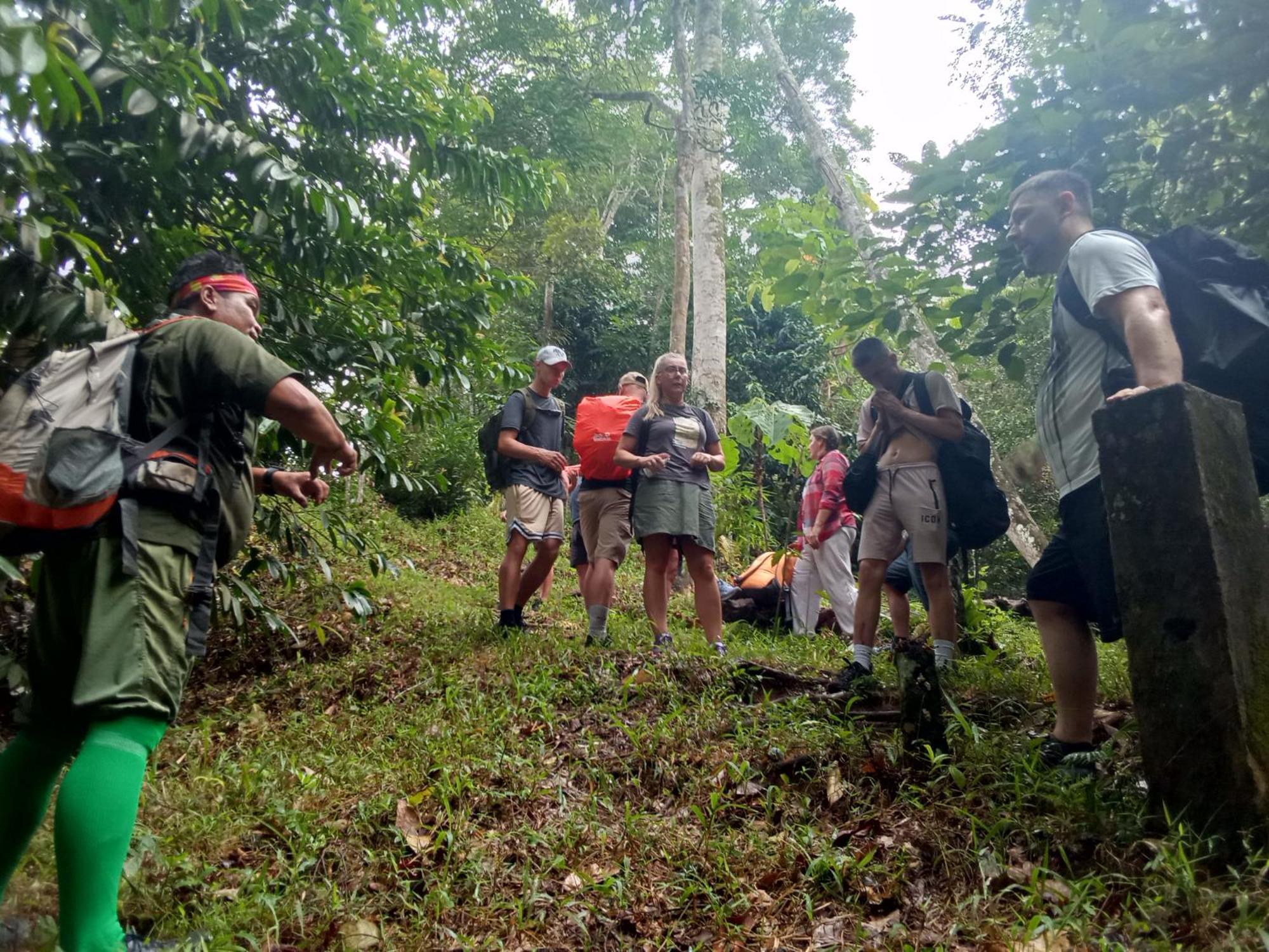 בוקיט לוואנג Jungle Treking & Jungle Tour If You Want To Stay Here,You Must Book Treking Only With Us מראה חיצוני תמונה