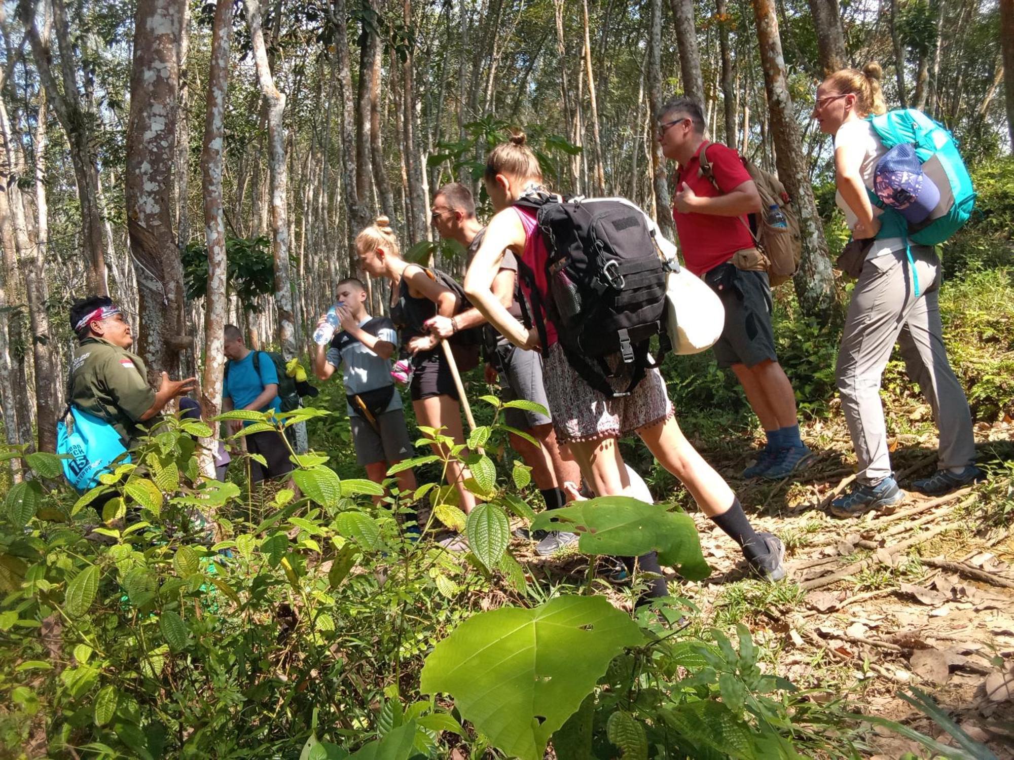 בוקיט לוואנג Jungle Treking & Jungle Tour If You Want To Stay Here,You Must Book Treking Only With Us מראה חיצוני תמונה